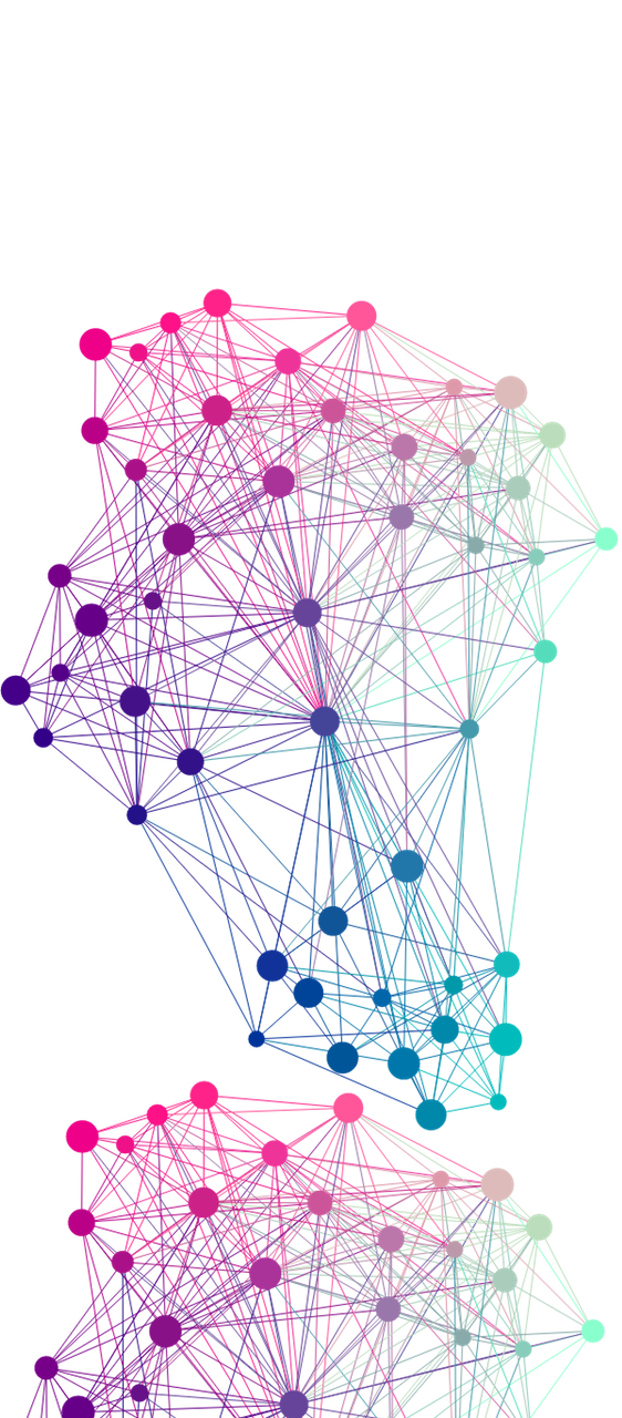 colorful networks